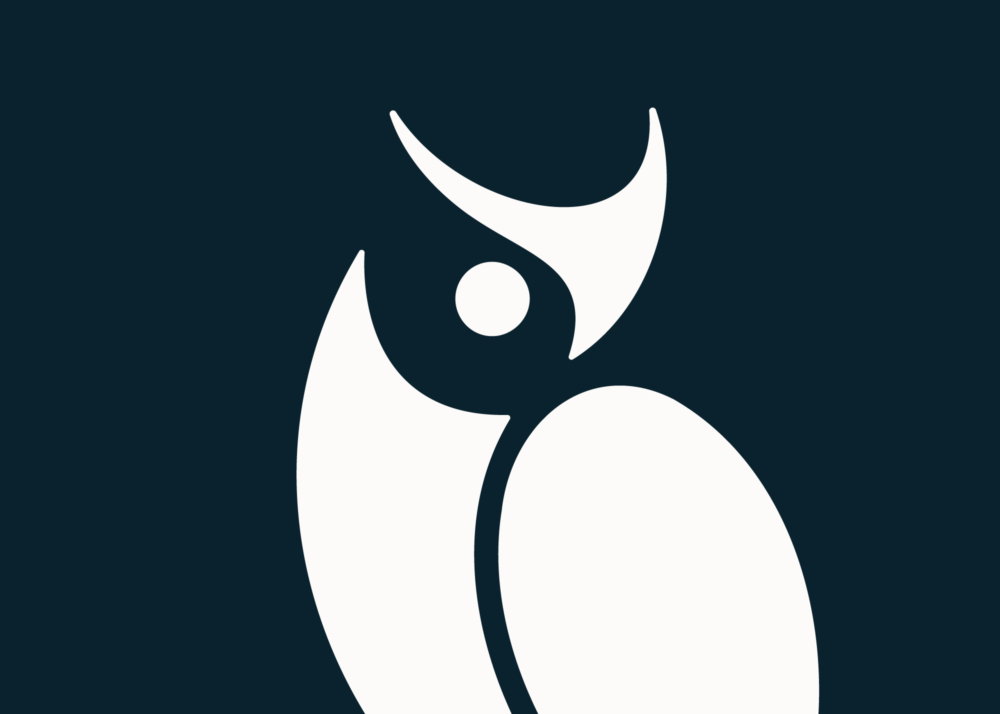 Large cropped version of the Discern owl brandmark in white on blue
