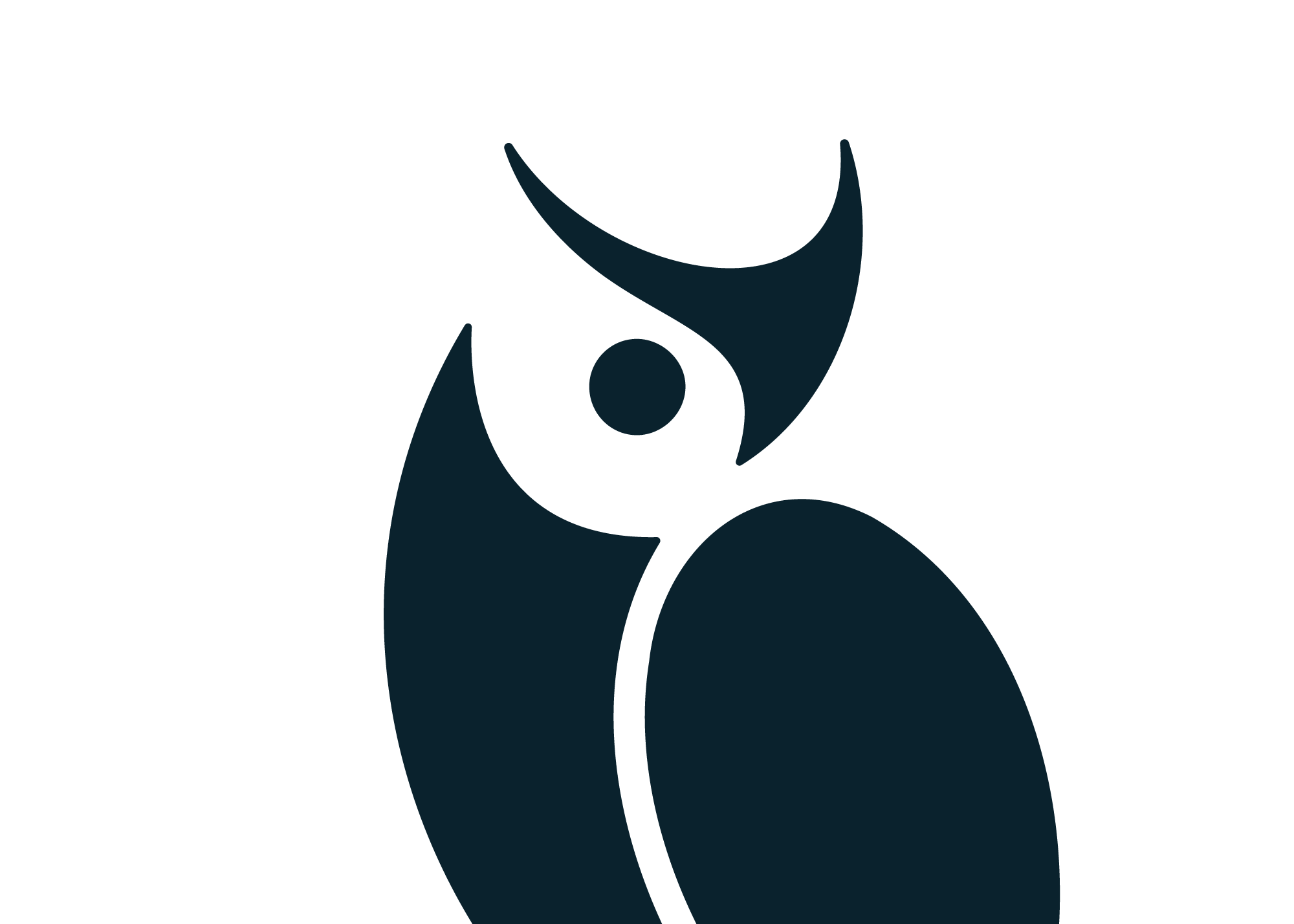 Cropped owl logo from the Discern Visual Identity