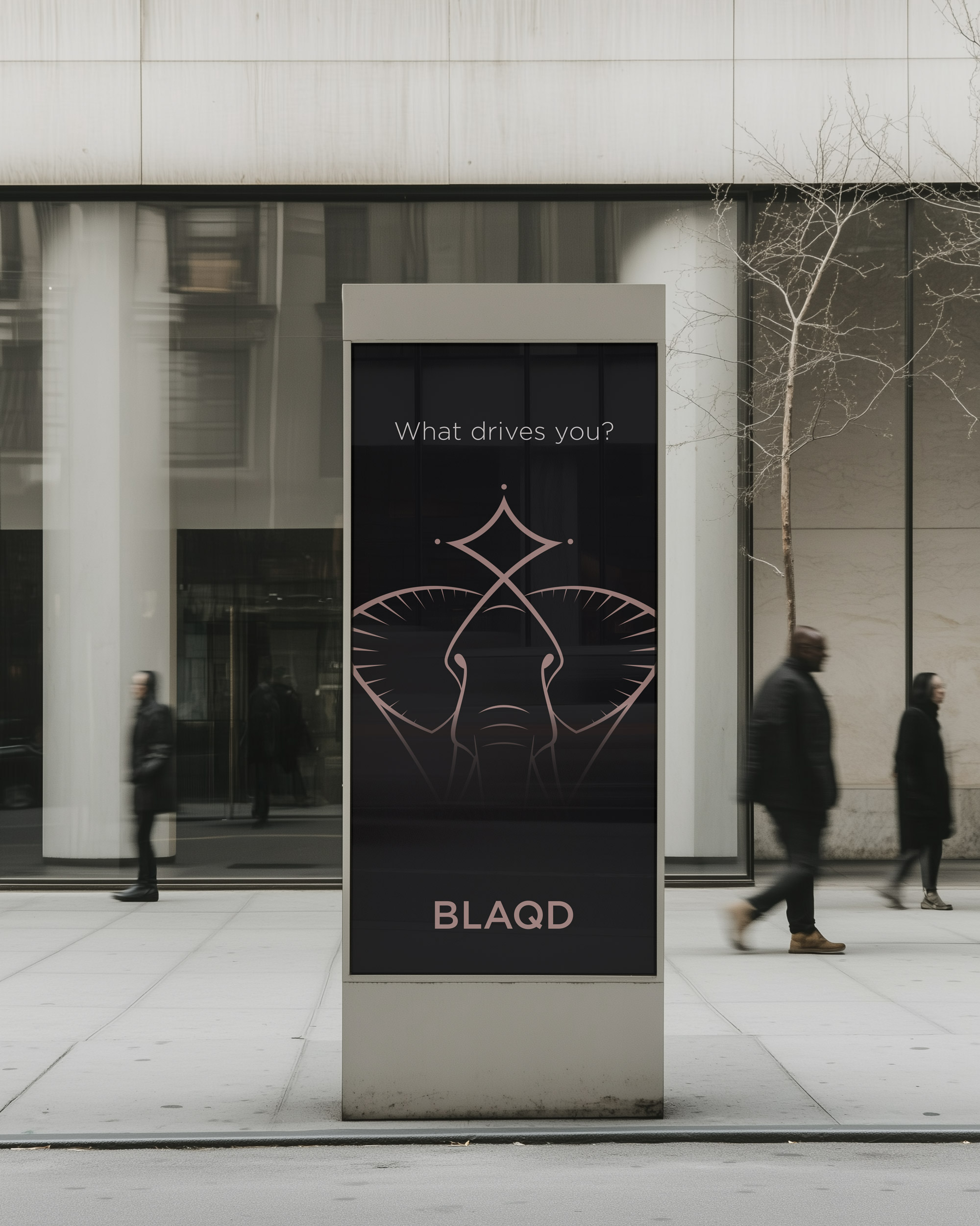 Blaqd by Ryan Paonessa Design