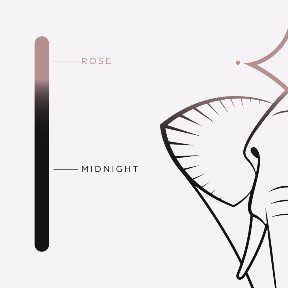 A graphic showing a sample BLAQD rose to midnight color gradient with an elephant mascot